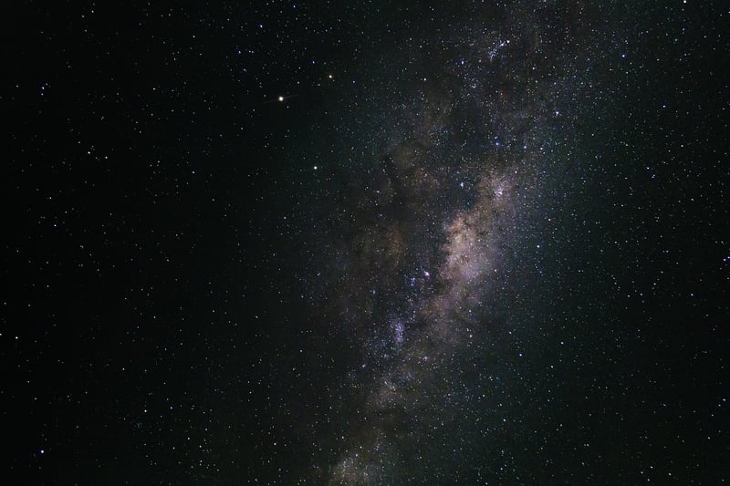 Stellar Feasts