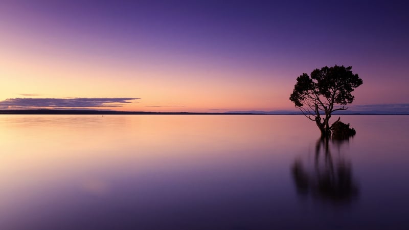 Sunset Soirees